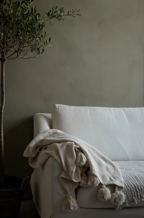 FOREST - Image 2