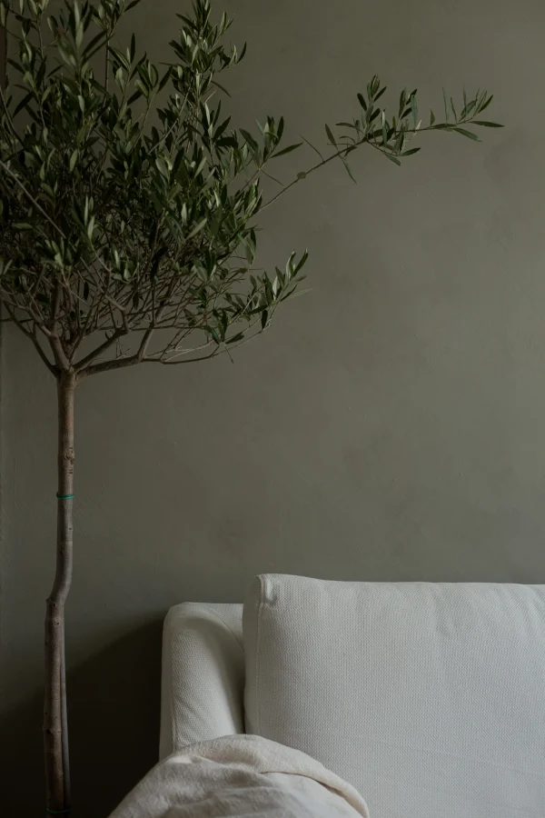 FOREST - Image 3